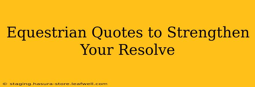 Equestrian Quotes to Strengthen Your Resolve