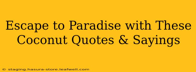 Escape to Paradise with These Coconut Quotes & Sayings