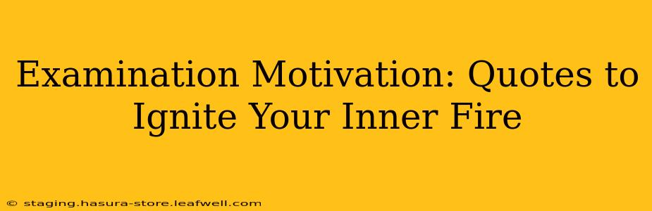 Examination Motivation: Quotes to Ignite Your Inner Fire
