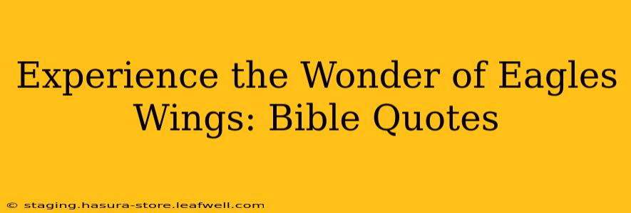 Experience the Wonder of Eagles Wings: Bible Quotes