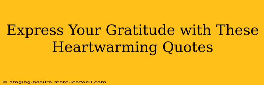 Express Your Gratitude with These Heartwarming Quotes