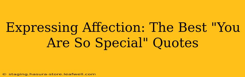 Expressing Affection: The Best "You Are So Special" Quotes