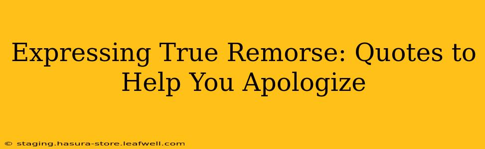 Expressing True Remorse: Quotes to Help You Apologize