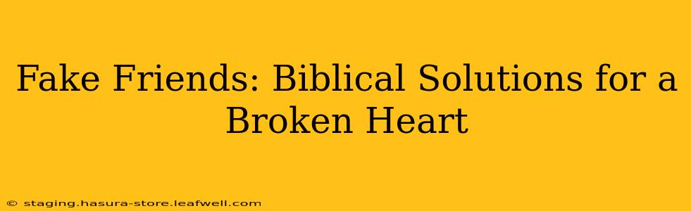Fake Friends: Biblical Solutions for a Broken Heart