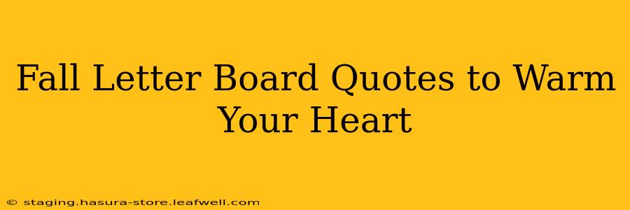 Fall Letter Board Quotes to Warm Your Heart