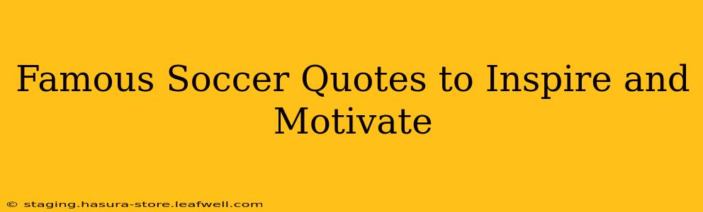 Famous Soccer Quotes to Inspire and Motivate