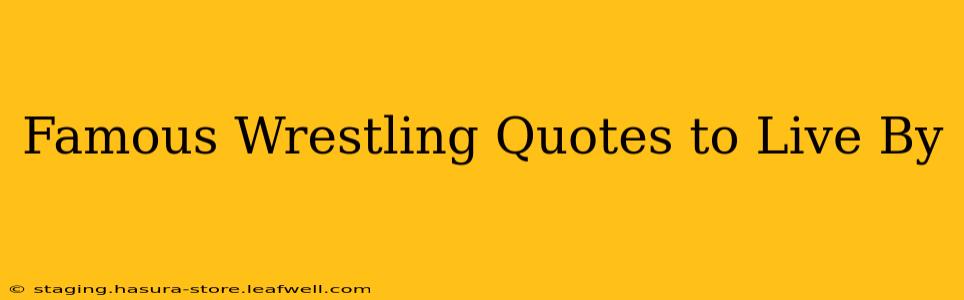 Famous Wrestling Quotes to Live By