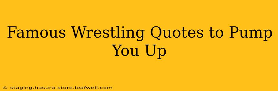 Famous Wrestling Quotes to Pump You Up