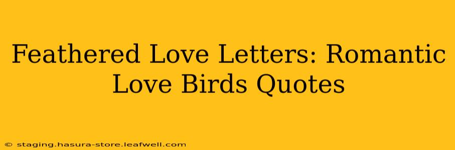 Feathered Love Letters: Romantic Love Birds Quotes