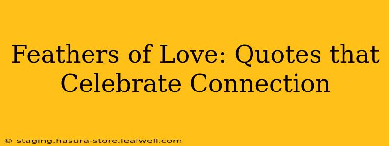 Feathers of Love: Quotes that Celebrate Connection