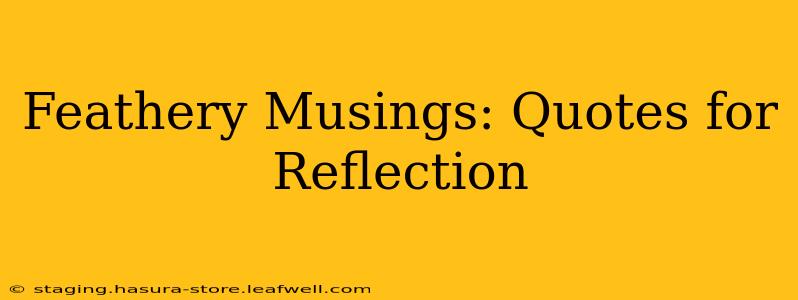 Feathery Musings: Quotes for Reflection