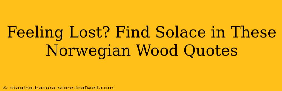 Feeling Lost? Find Solace in These Norwegian Wood Quotes