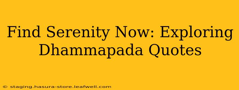 Find Serenity Now: Exploring Dhammapada Quotes