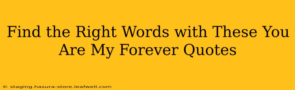 Find the Right Words with These You Are My Forever Quotes