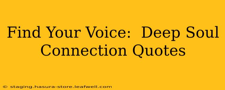 Find Your Voice:  Deep Soul Connection Quotes
