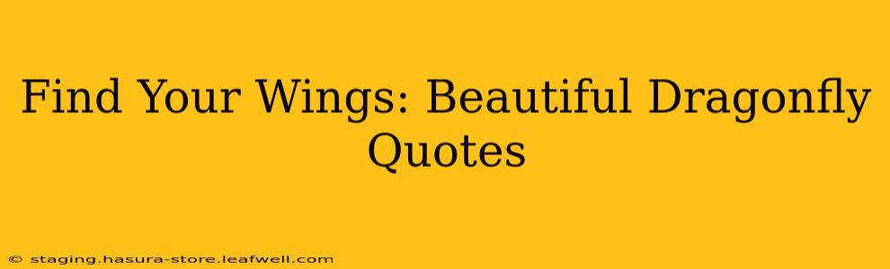 Find Your Wings: Beautiful Dragonfly Quotes