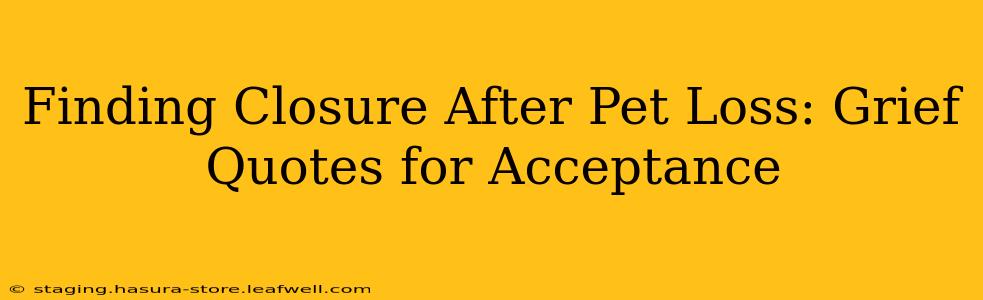Finding Closure After Pet Loss: Grief Quotes for Acceptance