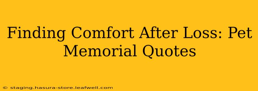 Finding Comfort After Loss: Pet Memorial Quotes