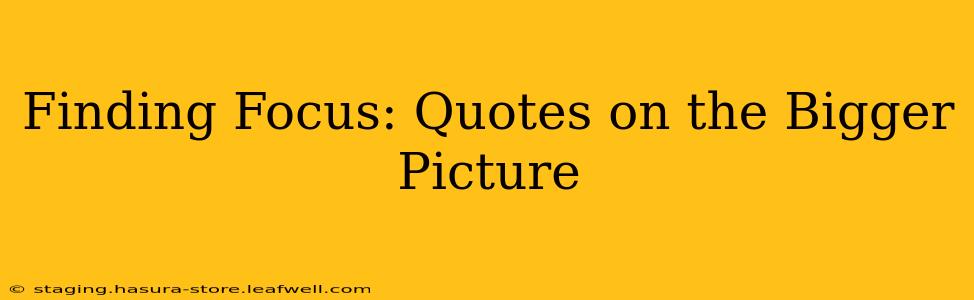 Finding Focus: Quotes on the Bigger Picture