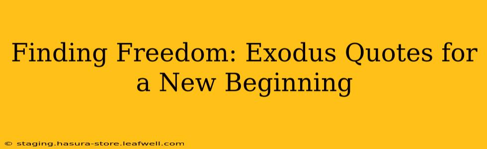 Finding Freedom: Exodus Quotes for a New Beginning