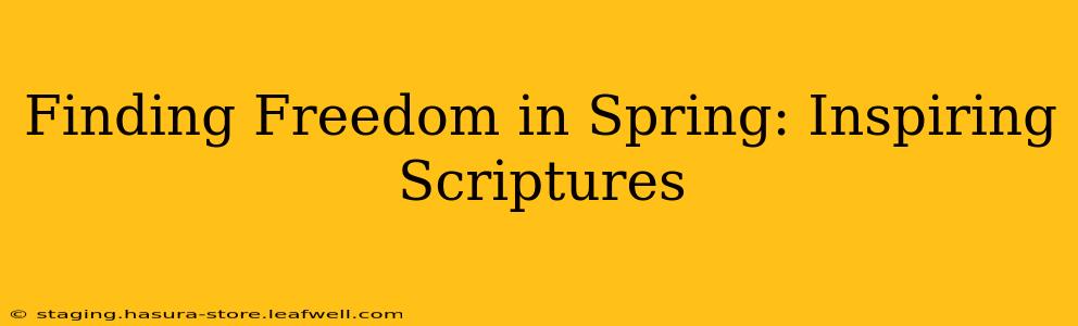 Finding Freedom in Spring: Inspiring Scriptures