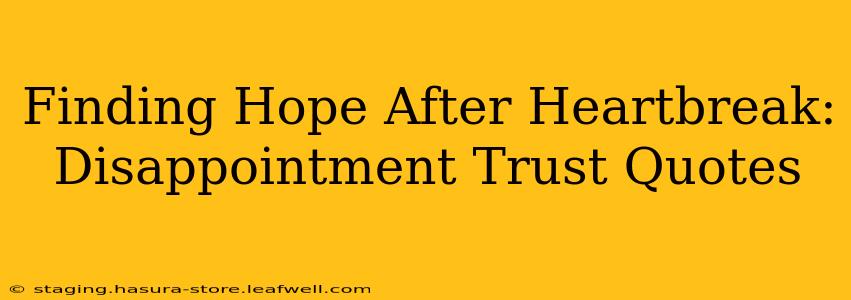 Finding Hope After Heartbreak: Disappointment Trust Quotes
