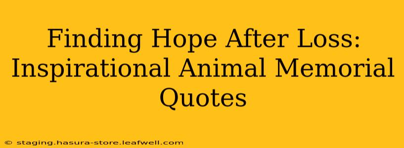 Finding Hope After Loss: Inspirational Animal Memorial Quotes