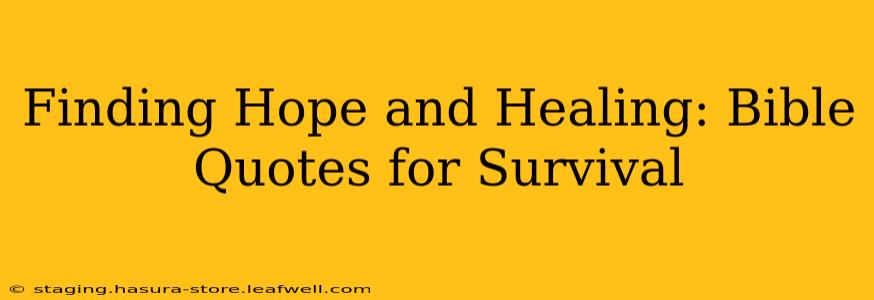 Finding Hope and Healing: Bible Quotes for Survival
