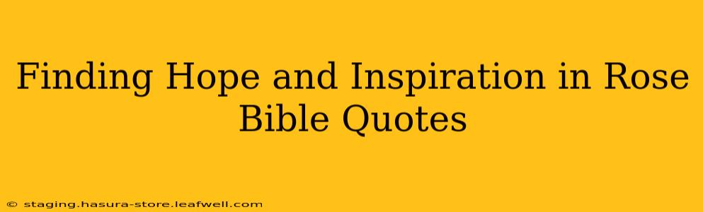 Finding Hope and Inspiration in Rose Bible Quotes