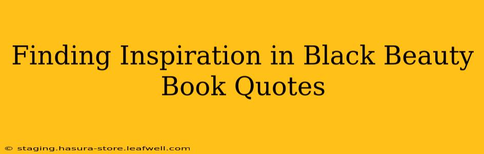 Finding Inspiration in Black Beauty Book Quotes