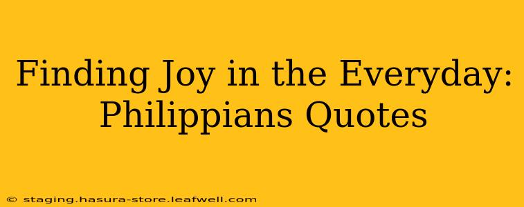 Finding Joy in the Everyday: Philippians Quotes
