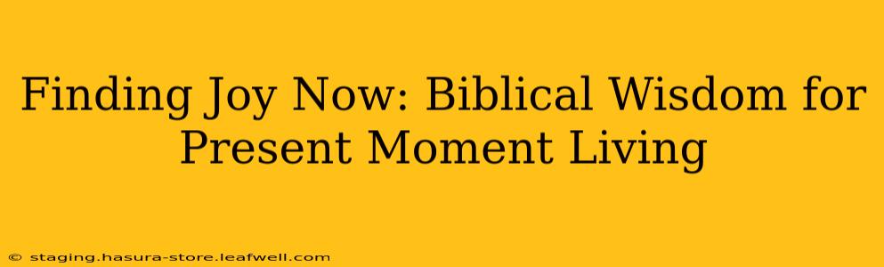 Finding Joy Now: Biblical Wisdom for Present Moment Living