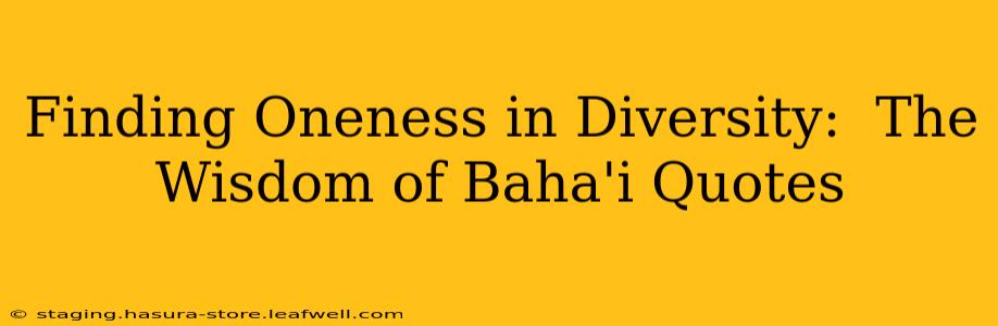 Finding Oneness in Diversity:  The Wisdom of Baha'i Quotes
