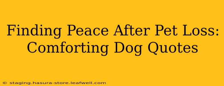 Finding Peace After Pet Loss: Comforting Dog Quotes
