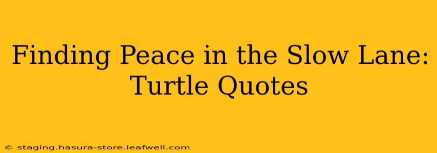 Finding Peace in the Slow Lane: Turtle Quotes