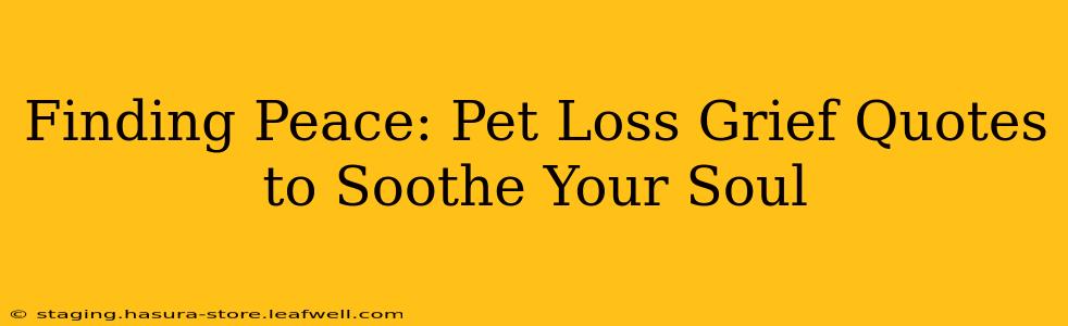 Finding Peace: Pet Loss Grief Quotes to Soothe Your Soul