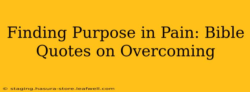 Finding Purpose in Pain: Bible Quotes on Overcoming