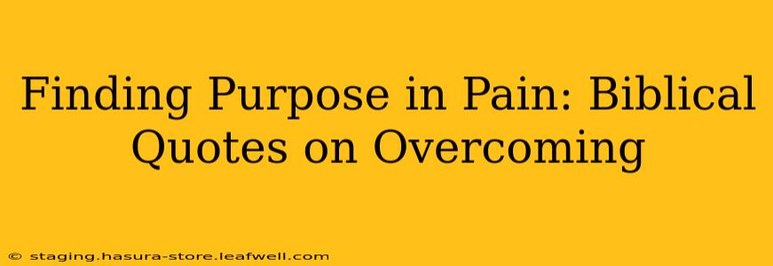 Finding Purpose in Pain: Biblical Quotes on Overcoming