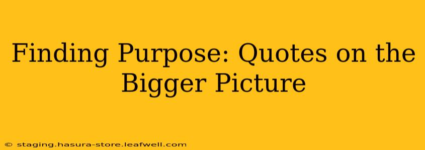 Finding Purpose: Quotes on the Bigger Picture