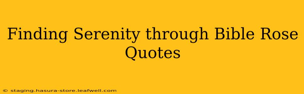 Finding Serenity through Bible Rose Quotes