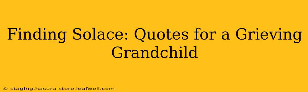 Finding Solace: Quotes for a Grieving Grandchild