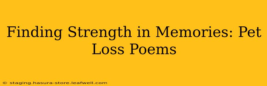 Finding Strength in Memories: Pet Loss Poems