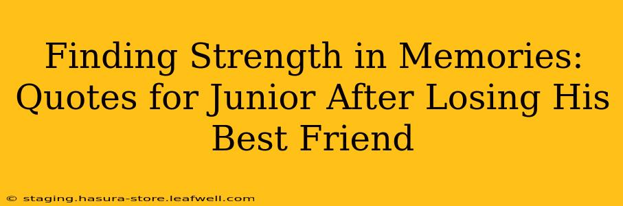 Finding Strength in Memories: Quotes for Junior After Losing His Best Friend