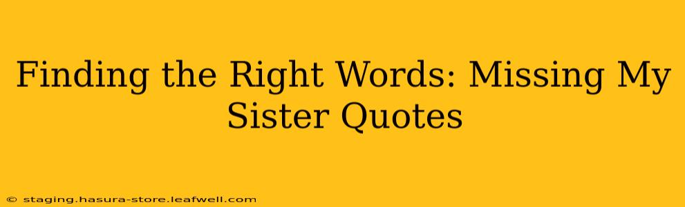 Finding the Right Words: Missing My Sister Quotes