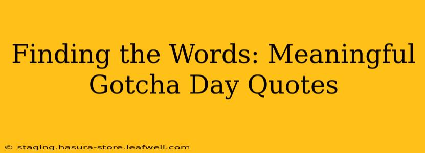 Finding the Words: Meaningful Gotcha Day Quotes