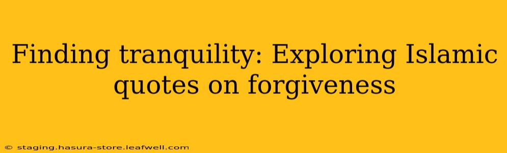 Finding tranquility: Exploring Islamic quotes on forgiveness