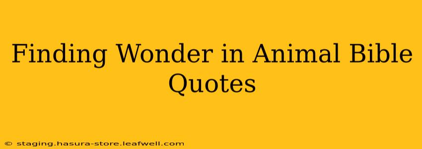 Finding Wonder in Animal Bible Quotes