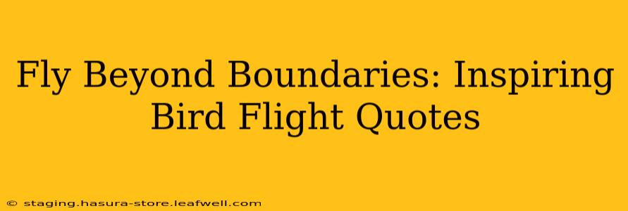 Fly Beyond Boundaries: Inspiring Bird Flight Quotes