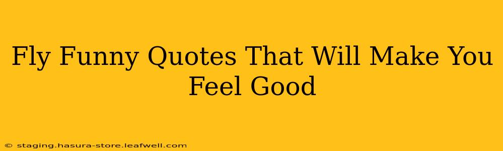Fly Funny Quotes That Will Make You Feel Good