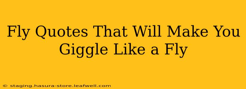 Fly Quotes That Will Make You Giggle Like a Fly